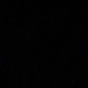 Meet your Posher, Tamara